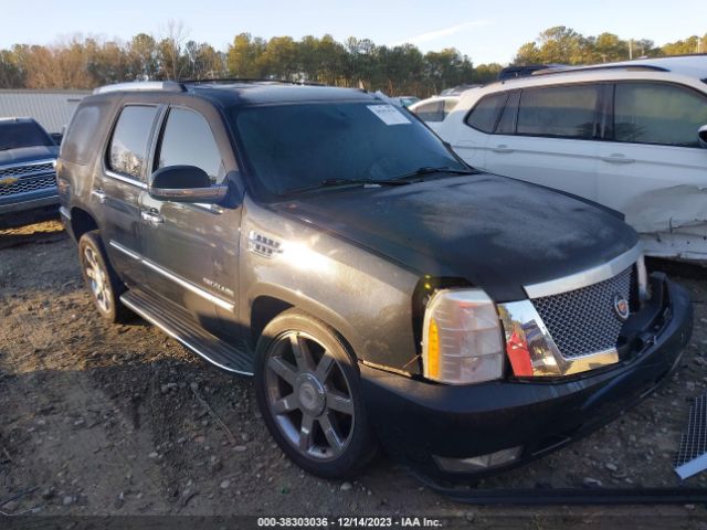 CADILLAC ESCALADE 2010 1gyukbef6ar153588