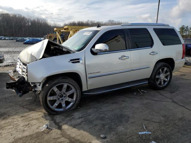 CADILLAC ESCALADE L 2010 1gyukbef6ar166762