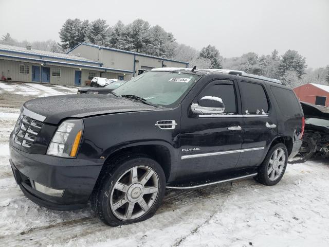 CADILLAC ESCALADE 2010 1gyukbef6ar172514