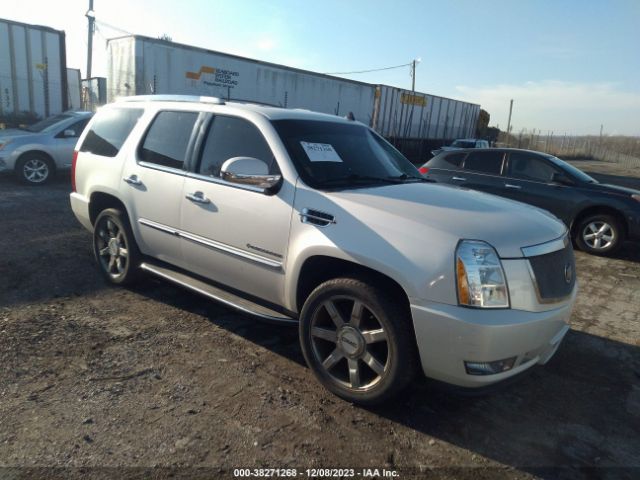 CADILLAC ESCALADE 2010 1gyukbef6ar287498