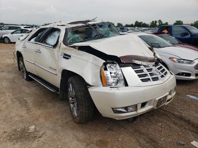 CADILLAC ESCALADE L 2010 1gyukbef7ar100186