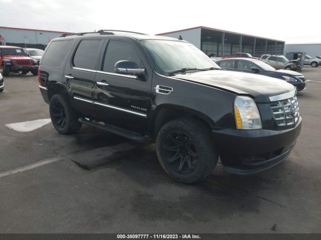 CADILLAC ESCALADE 2010 1gyukbef7ar114248