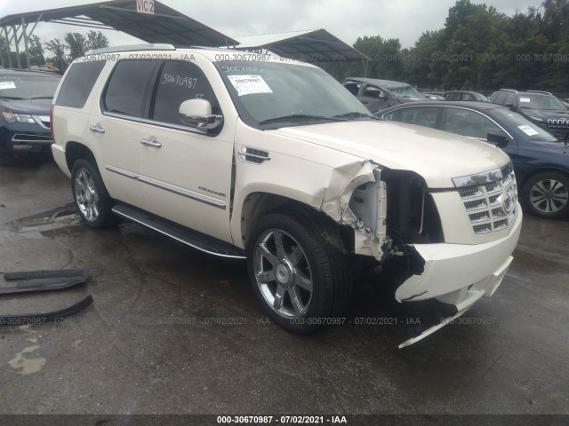 CADILLAC ESCALADE 2010 1gyukbef8ar101377