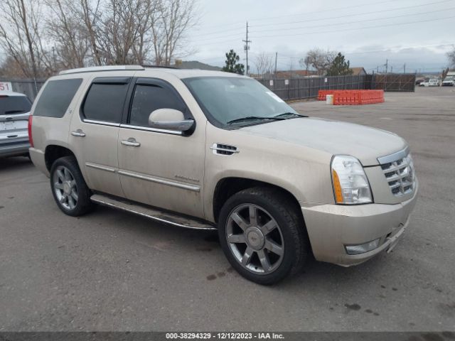 CADILLAC ESCALADE 2010 1gyukbef8ar228484