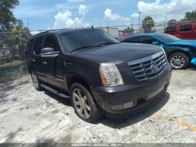 CADILLAC ESCALADE 2010 1gyukbef9ar116714