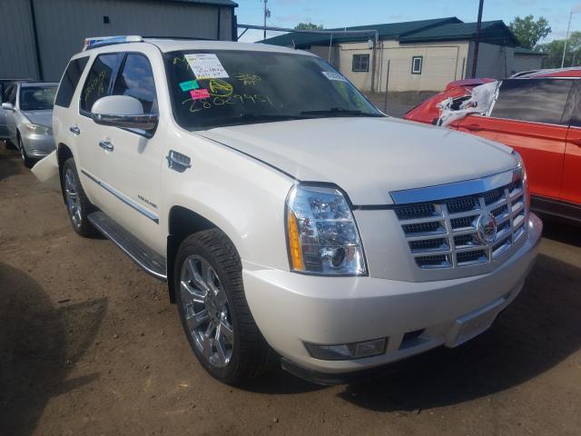 CADILLAC ESCALADE L 2010 1gyukbef9ar174810