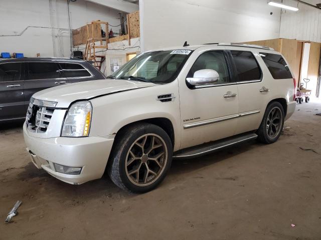 CADILLAC ESCALADE 2010 1gyukbef9ar211709