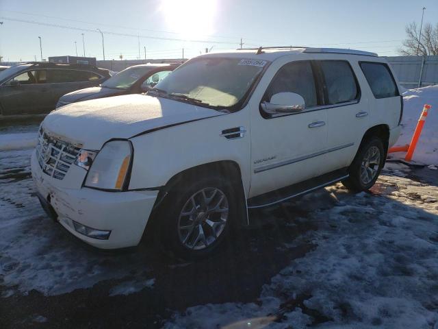 CADILLAC ESCALADE 2010 1gyukbefxar113739