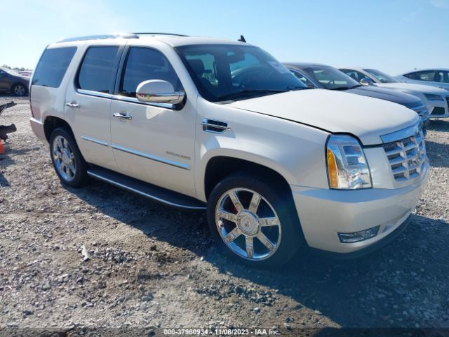 CADILLAC ESCALADE 2010 1gyukbefxar119623