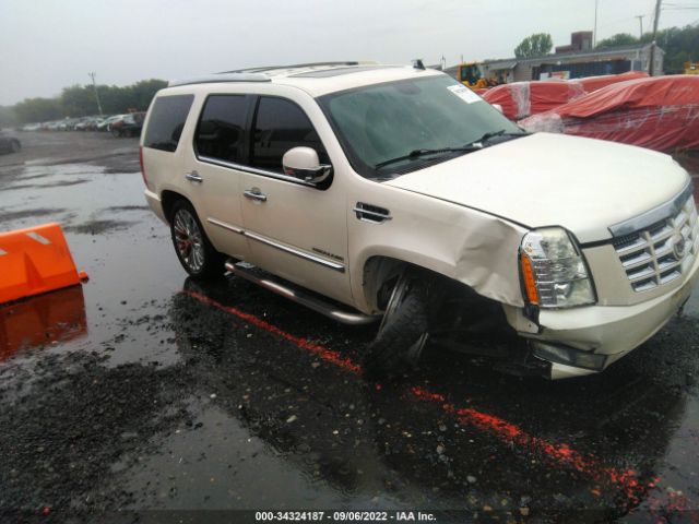 CADILLAC ESCALADE 2010 1gyukbefxar169289