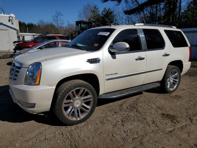 CADILLAC ESCALADE 2010 1gyukbefxar276696