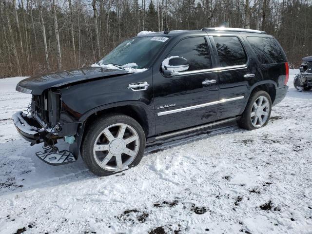 CADILLAC ESCALADE 2010 1gyukcef0ar162129