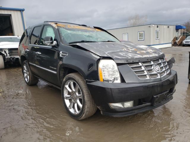 CADILLAC ESCALADE P 2010 1gyukcef1ar124375