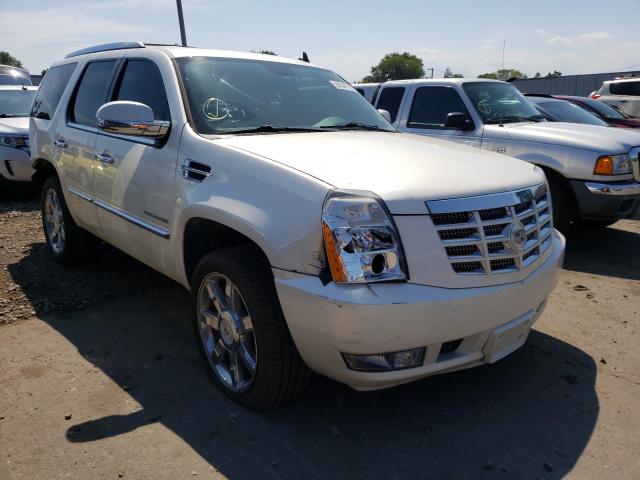 CADILLAC ESCALADE P 2010 1gyukcef1ar132458