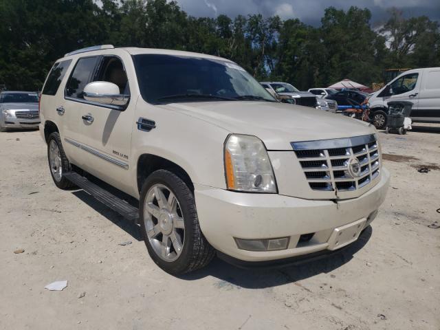 CADILLAC ESCALADE P 2010 1gyukcef1ar158591