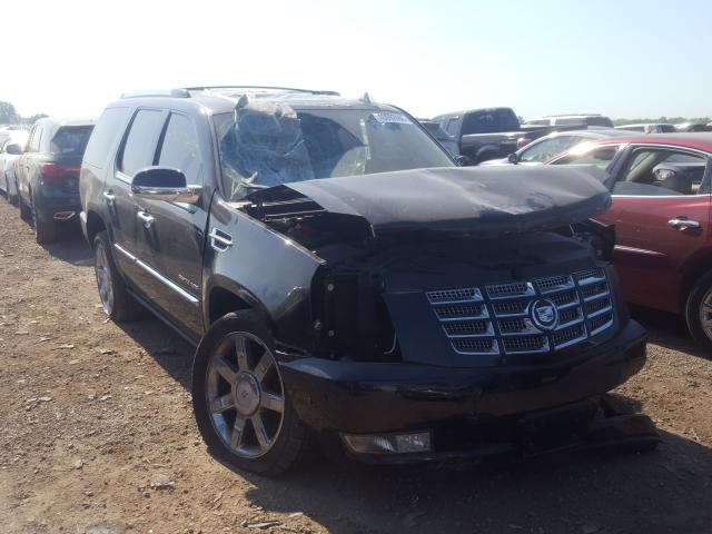 CADILLAC ESCALADE P 2010 1gyukcef1ar229210