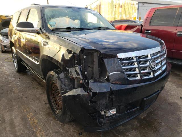 CADILLAC ESCALADE P 2010 1gyukcef1ar281047