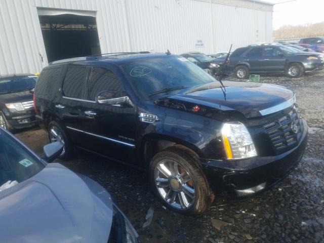 CADILLAC ESCALADE P 2010 1gyukcef2ar151407