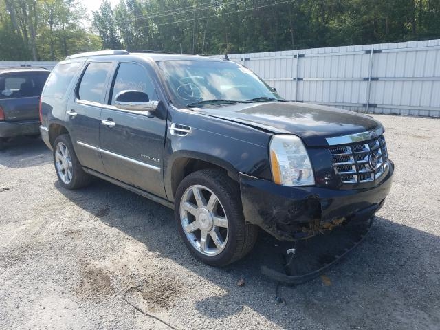 CADILLAC ESCALADE P 2010 1gyukcef2ar155831