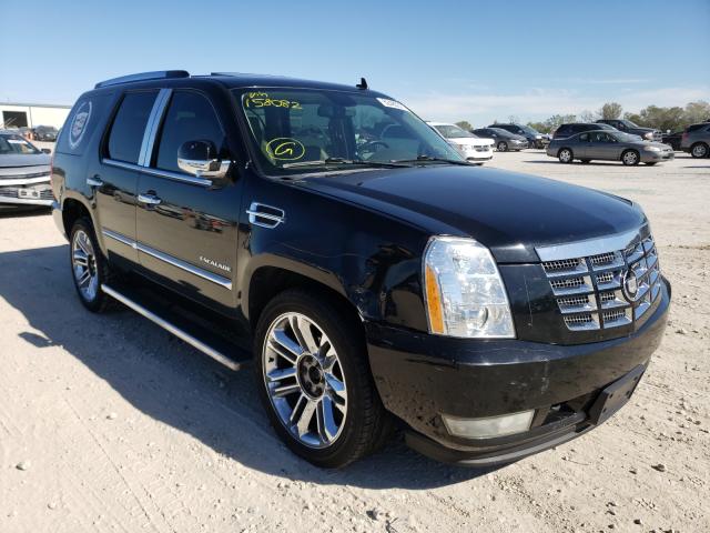 CADILLAC ESCALADE P 2010 1gyukcef2ar158082