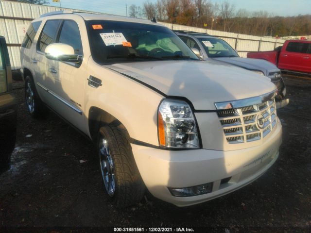 CADILLAC ESCALADE 2010 1gyukcef2ar188571