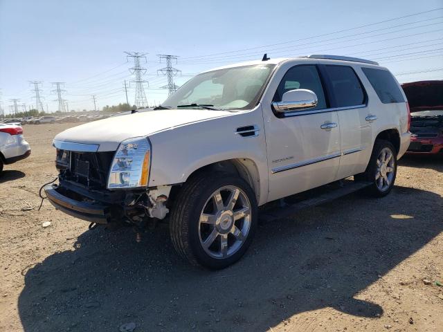 CADILLAC ESCALADE 2010 1gyukcef2ar284345