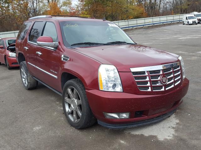 CADILLAC ESCALADE P 2010 1gyukcef3ar151173