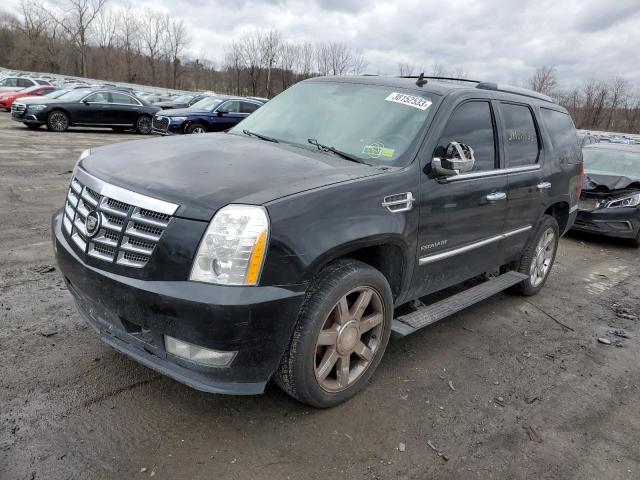 CADILLAC ESCALADE P 2010 1gyukcef3ar214014