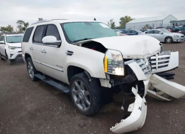 CADILLAC ESCALADE 2010 1gyukcef4ar117033