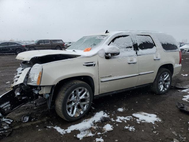 CADILLAC ESCALADE P 2010 1gyukcef4ar121678