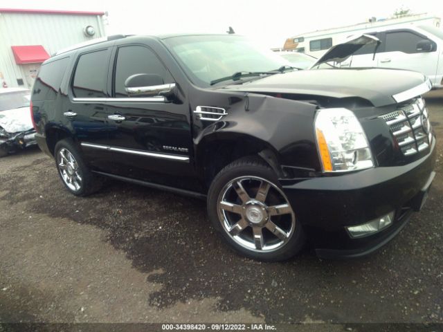 CADILLAC ESCALADE 2010 1gyukcef4ar133314