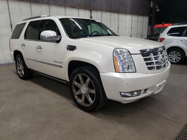 CADILLAC ESCALADE P 2010 1gyukcef4ar152090