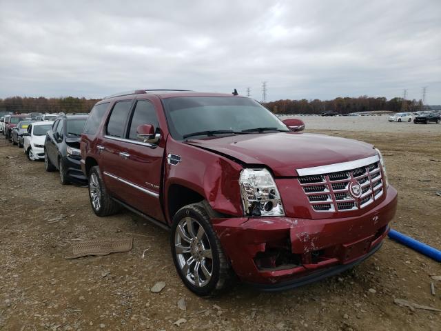 CADILLAC ESCALADE P 2010 1gyukcef4ar205984