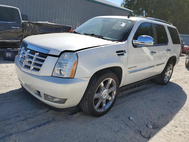 CADILLAC ESCALADE P 2010 1gyukcef4ar245904