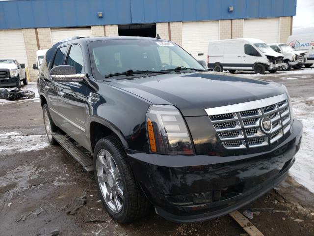 CADILLAC ESCALADE P 2010 1gyukcef5ar134990