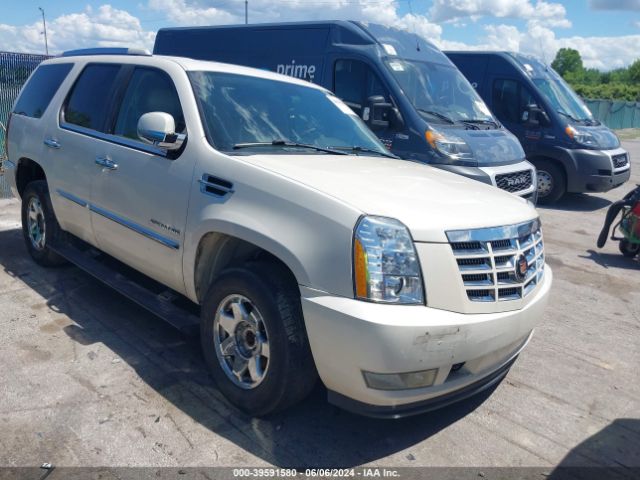 CADILLAC ESCALADE 2010 1gyukcef5ar218517