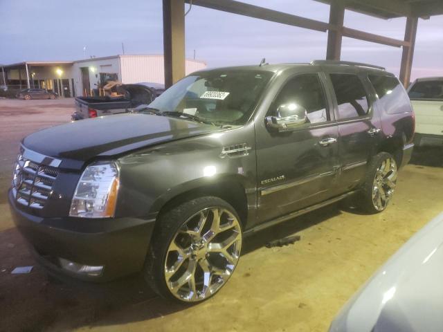 CADILLAC ESCALADE P 2010 1gyukcef5ar227086