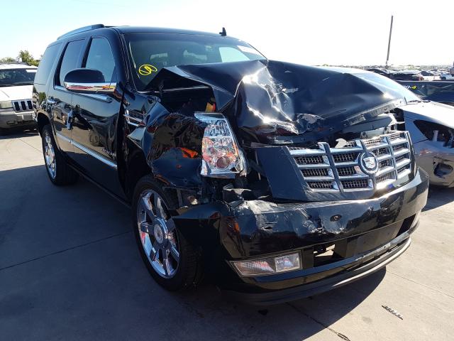 CADILLAC ESCALADE P 2010 1gyukcef6ar178741