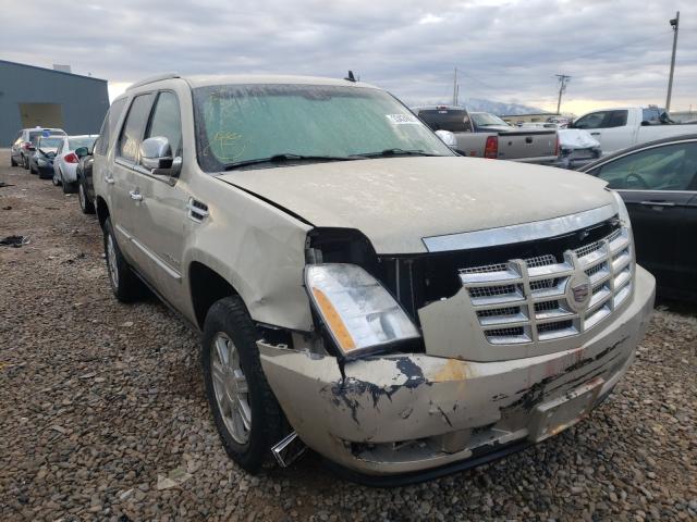 CADILLAC ESCALADE P 2010 1gyukcef6ar226500