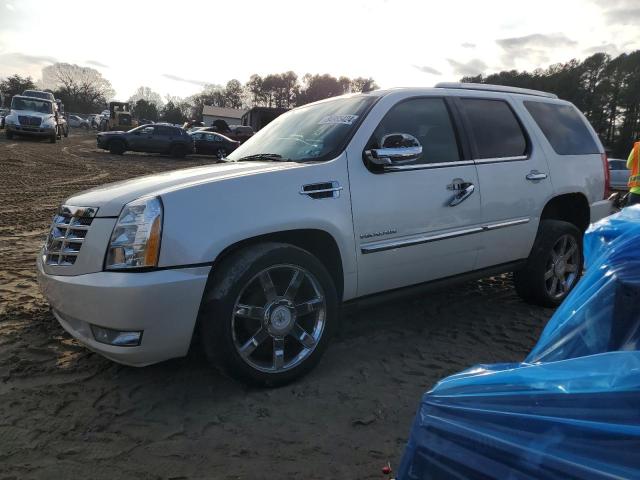 CADILLAC ESCALADE P 2010 1gyukcef6ar290584