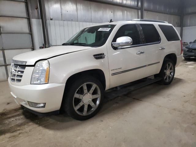 CADILLAC ESCALADE P 2010 1gyukcef7ar147885