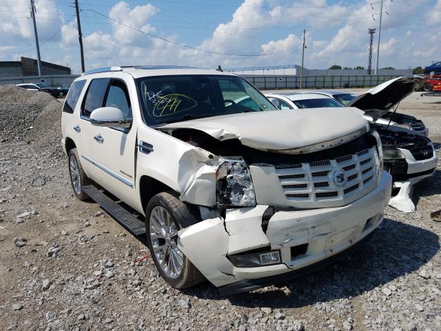 CADILLAC ESCALADE P 2010 1gyukcef7ar153346