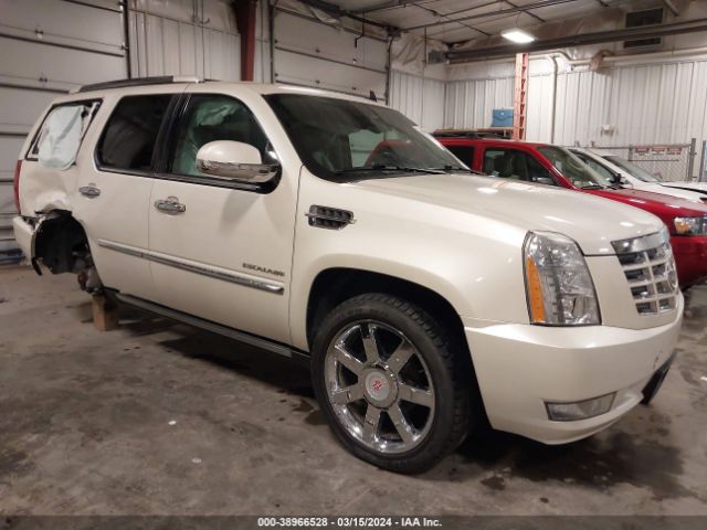 CADILLAC ESCALADE 2010 1gyukcef7ar166727