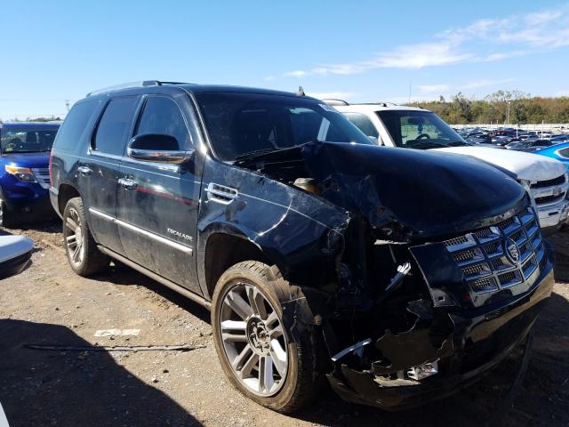 CADILLAC ESCALADE P 2010 1gyukcef7ar171717