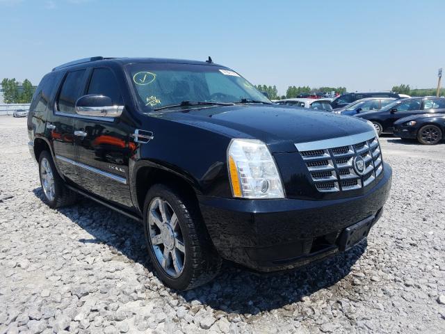 CADILLAC ESCALADE P 2010 1gyukcef8ar158541