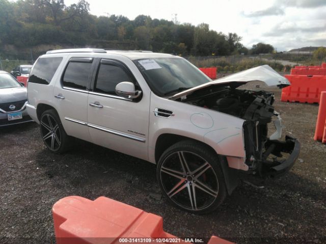 CADILLAC ESCALADE 2010 1gyukcef8ar161455