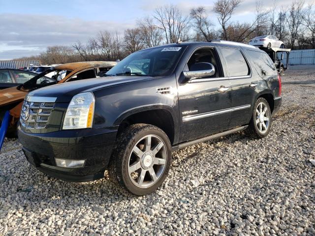 CADILLAC ESCALADE 2010 1gyukcef8ar173203