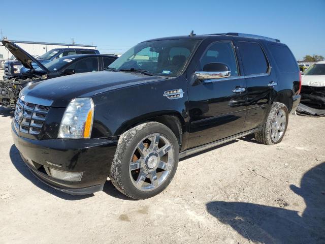 CADILLAC ESCALADE P 2010 1gyukcef8ar178739