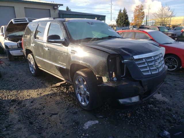 CADILLAC ESCALADE P 2010 1gyukcef8ar193709