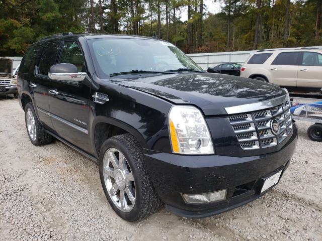 CADILLAC ESCALADE P 2010 1gyukcef8ar259353